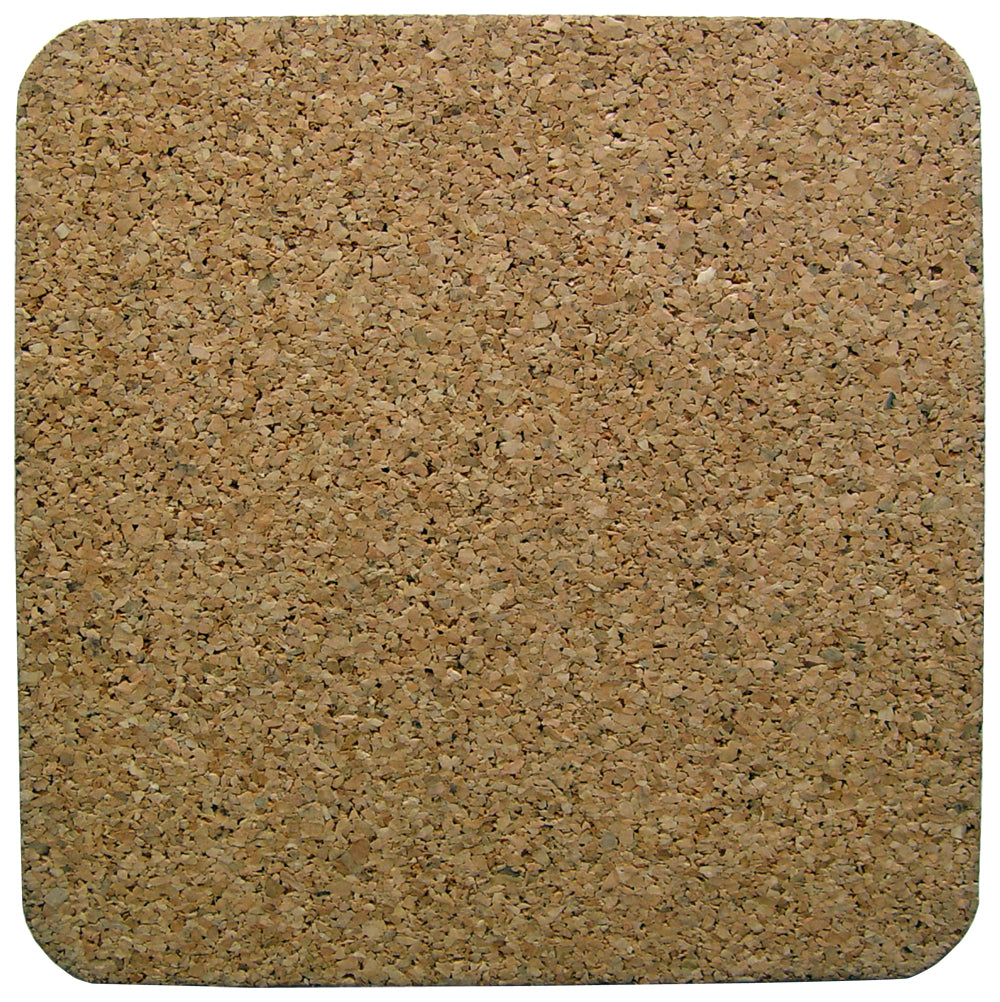 MBTA Davis Red Line Station Coaster