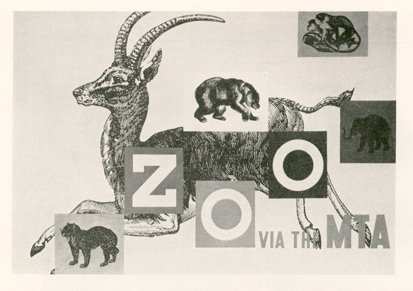 Vintage Boston MTA Advertisemet: Zoo via the MTA