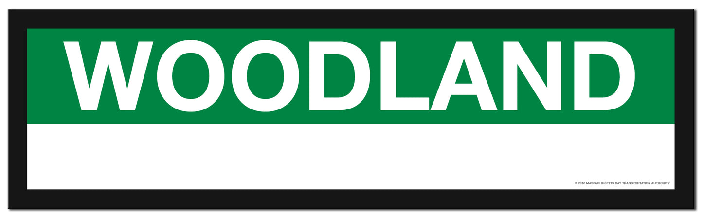 Boston MBTA GREEN LINE Framed Replica Station Signs