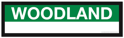 Boston MBTA GREEN LINE Framed Replica Station Signs